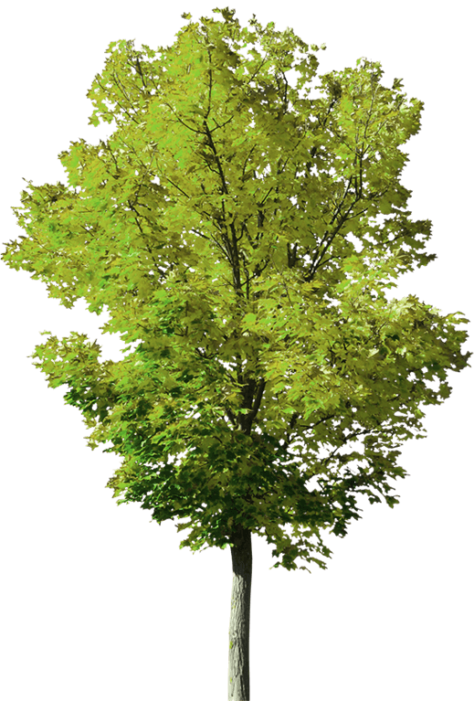 Изображение недоступно