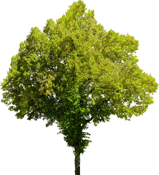 Изображение недоступно