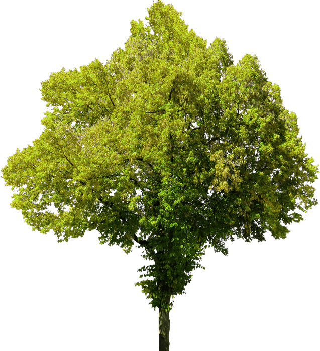 Изображение недоступно