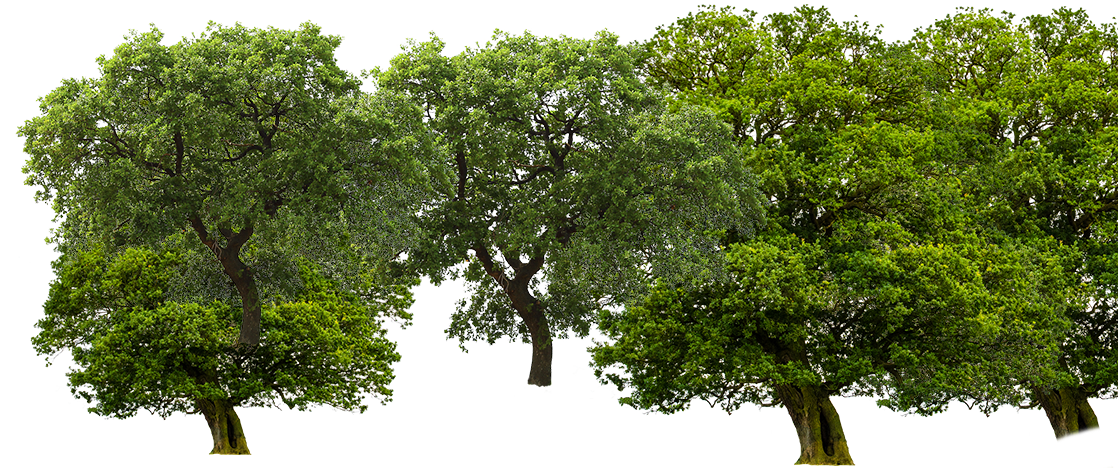 Изображение недоступно